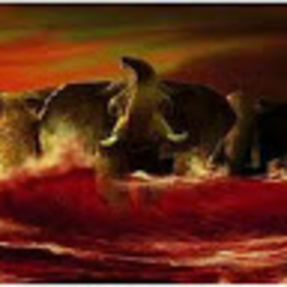 Meet your Posher, Johnathan